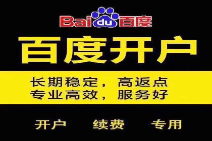 百度推广实战攻略：案例与技巧